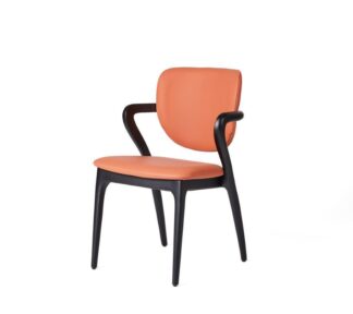 Tempest chair Tempest chair artico Brick legs Ashwood Black 1